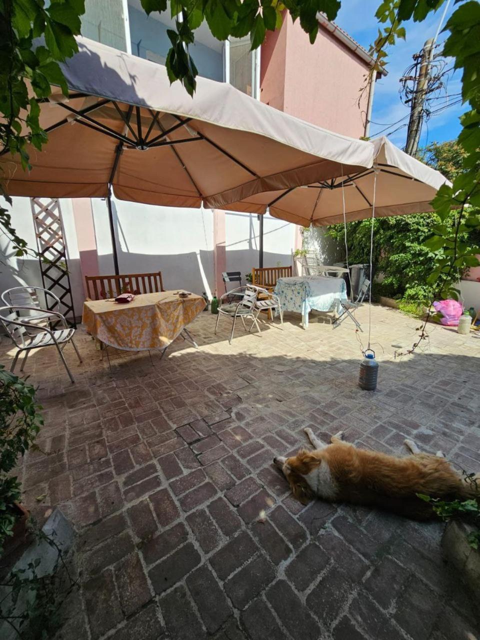Vila Flavia B&B Констанца Екстериор снимка